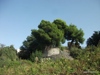 Monte Ferro